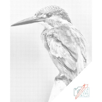 Dotting points - Kingfisher