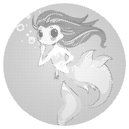 Dotting points - Little Mermaid