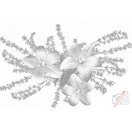 Dotting points - Decorative Flowers