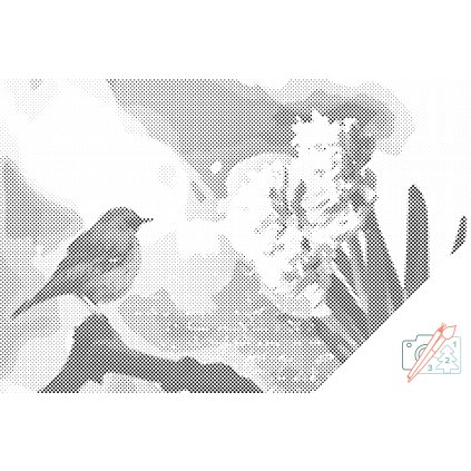 Dotting points - Hyacinth and Bird