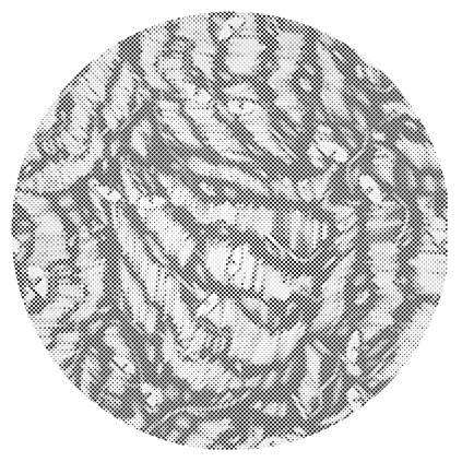 Dotting points - Abstract Cat