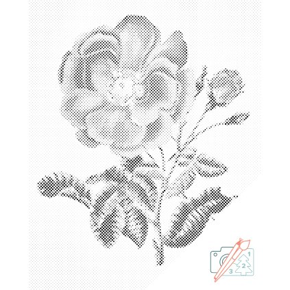 Dotting points - Vintage Rose