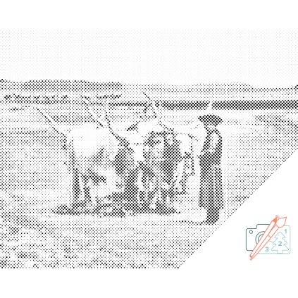 Dotting points - Hortobagy National Park, Hungary