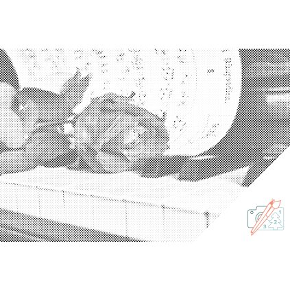 Dotting points - Roses on a piano