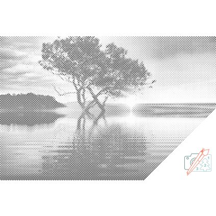 Dotting points - Sunset by the Lake