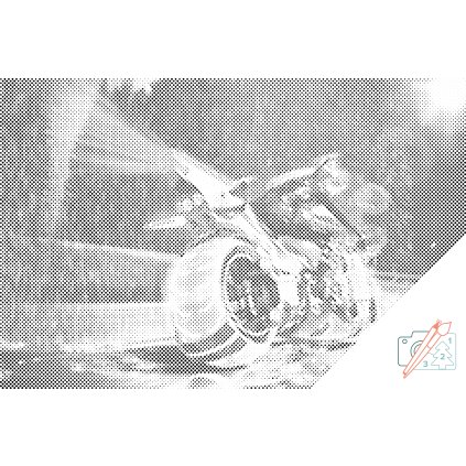 Dotting points - Driving in the Rain