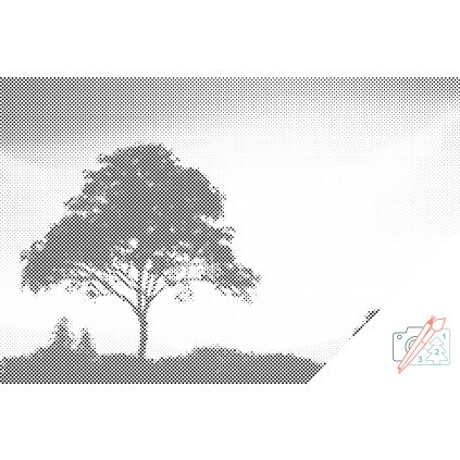 Dotting points - Nature at Sunset