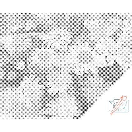 Dotting points - Joyful daisies