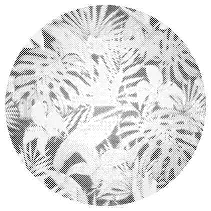 Dotting points - Tropical Background 2
