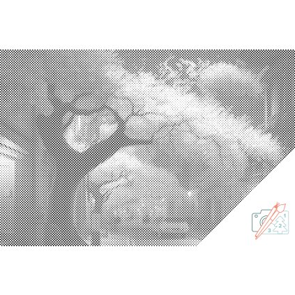 Dotting points - Evening Street