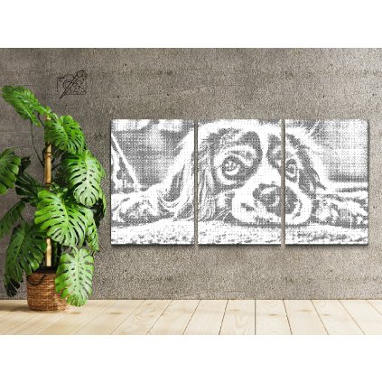 Dotting points - Puppy with Beseeching Eyes (set of 3)