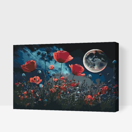 Paint by Number - Poppies in the Moonlight