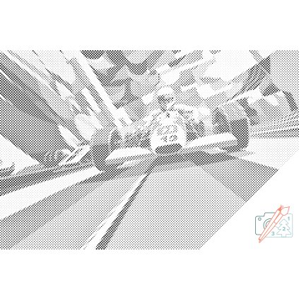 Dotting points - Formula 1 Race