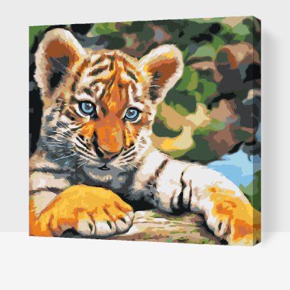 Paint by Number - Tiger Cub