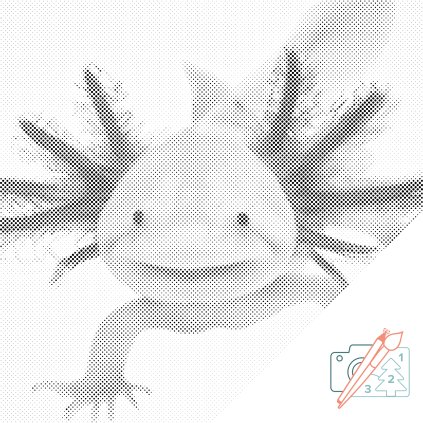 Dotting points - Axolotl 3 