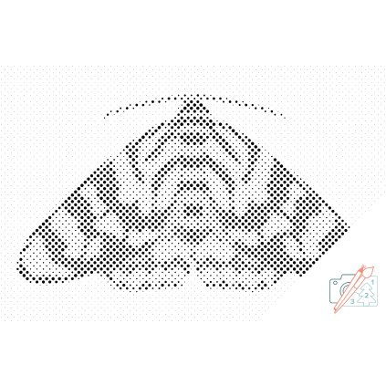 Dotting points - Colourful Moth