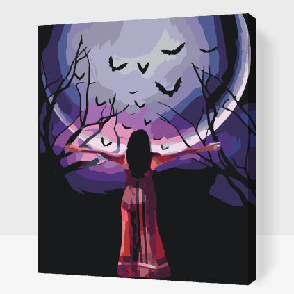 Paint by Number - Mysterious Woman at Full Moon