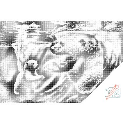 Dotting points - Polar bear swimming