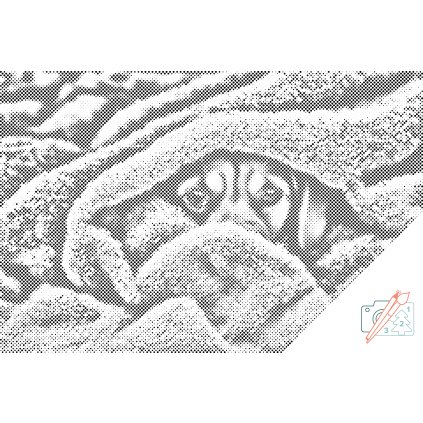 Dotting points - Doggy eyes under the cover 2