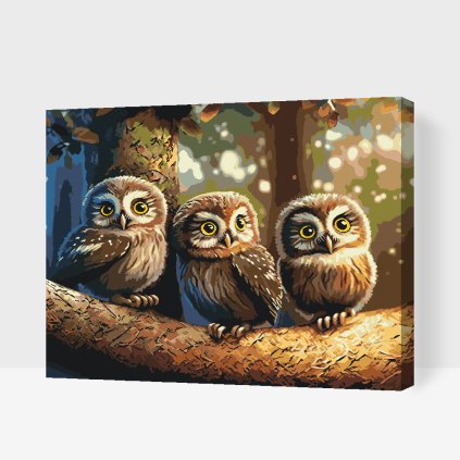 Paint by Number - Three owlets (set of 3)