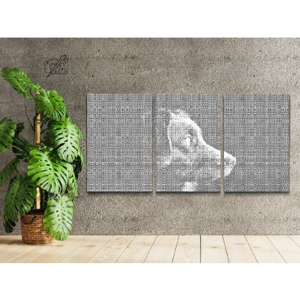 Tečkování - Pohled psa (sada 3 ks)