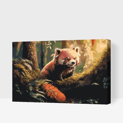 Malování podle čísel - Červená panda