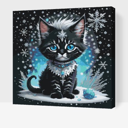 Malování podle čísel - Sněžné kotě