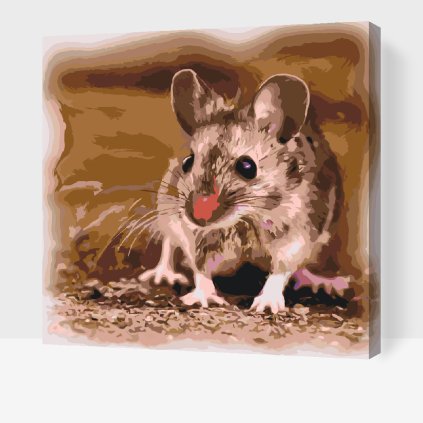 Paint by Number - Little Hamster