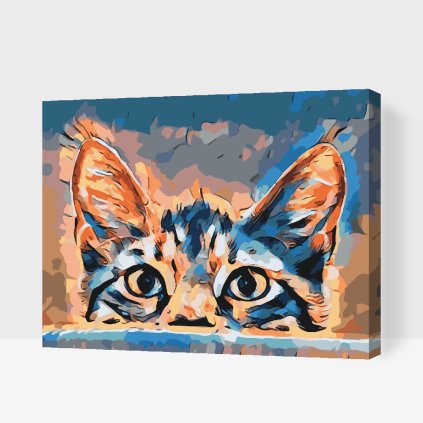 Paint by Number - Curious Eyes