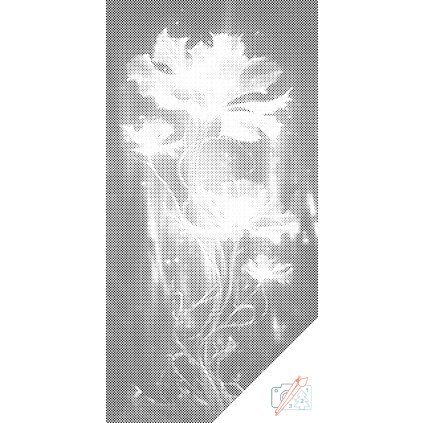 (1)klient navrh 2023 08 16T111847.392