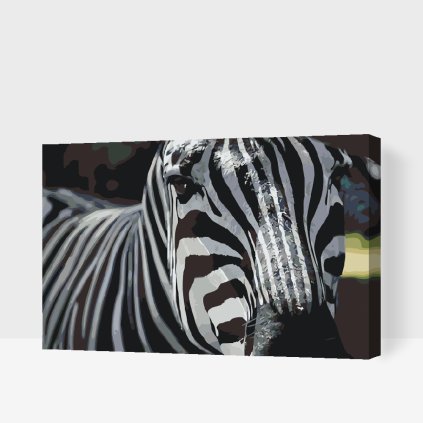 Paint by Number - Focused on the Zebra