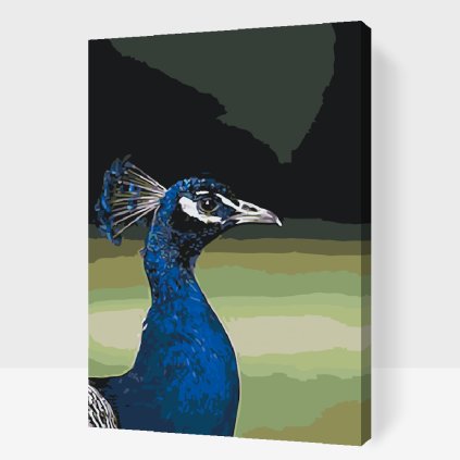 Paint by Number - Peahen