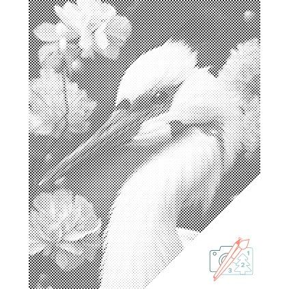 Tečkování - Volavka