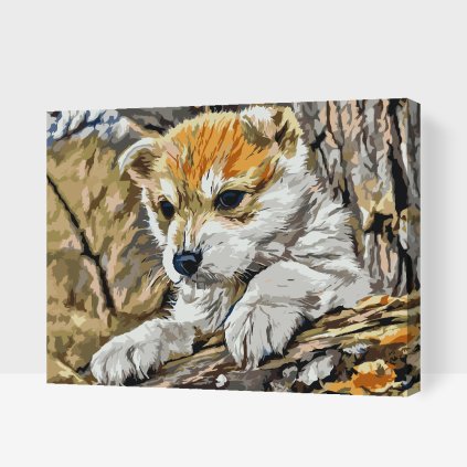 Paint by Number - Puppy Playing in the Wood