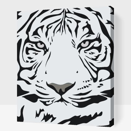 Paint by Number - Black-White Tiger Head