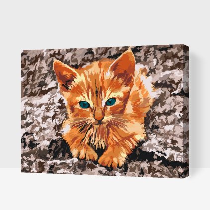 Paint by Number - Kitten Resting on the Rock