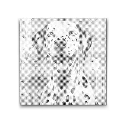 M2_Dotting_Points_-_Colorful_dalmatine