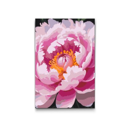 M2_Painting_by_Numbers_-_Peony_flower