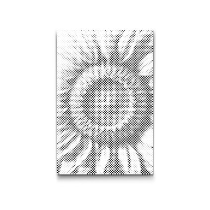 M2_Dotting_Points_-_Sunflower_flower