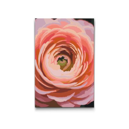 M2_Painting_by_Numbers_-_Buttercup_flower