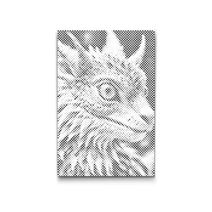 M2_Dotting_Points_-_Baby_dragon