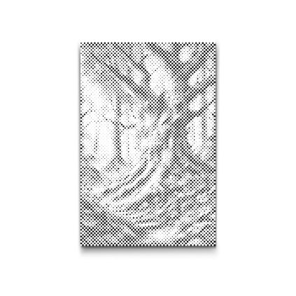 M2_Dotting_Points_-_Fairytale_forest