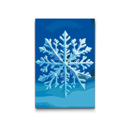 M2_Painting_by_Numbers_-_Snowflake