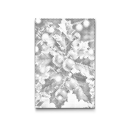 M2_Dotting_Points_-_Sprig_of_holly