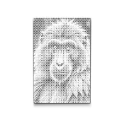 M2_Dotting_Points_-_Baboon_in_shades_of_dark_turquoise