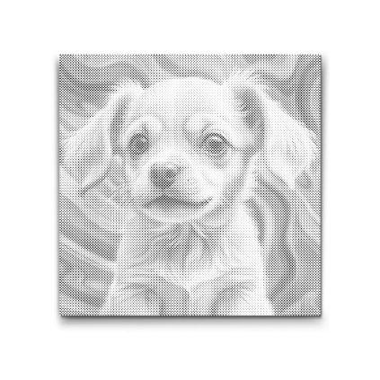 M2_Dotting_Points_-_Puppy_in_shades_of_pink