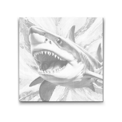 M2_Dotting_Points_-_Shark_in_shades_of_turquoise_and_orange