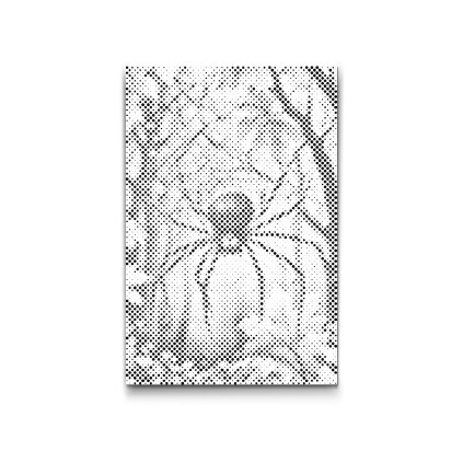 M2_Dotting_Points_-_Scary_spider
