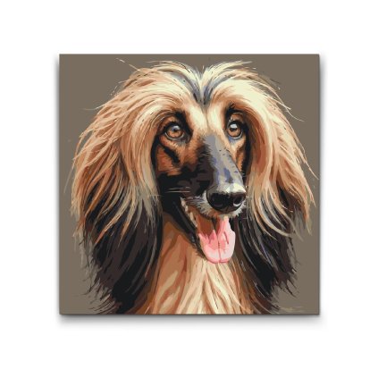M2_Painting_by_Numbers_-_Afghan_Greyhound