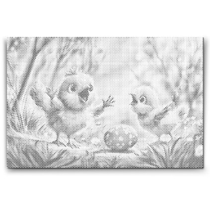 M2_Dotting_Points_-_Singing_chicks